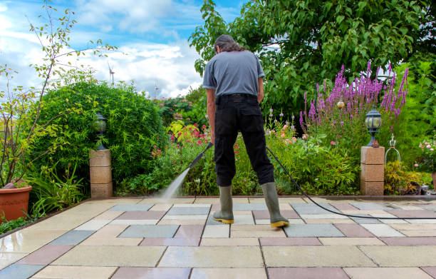 Best Driveway Pressure Washing  in Holland, TX